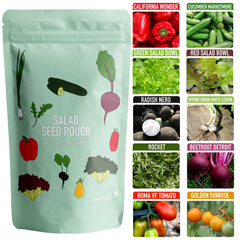 Scott&Co. Salad Seed Variety Pack, UK Veg Planting, Beetroot, Tomato, Lettuce, Spring Onion, Radish, Cucumber, Rocket, Pepper Vegetable Seeds, Gardening Gifts for Men and Women