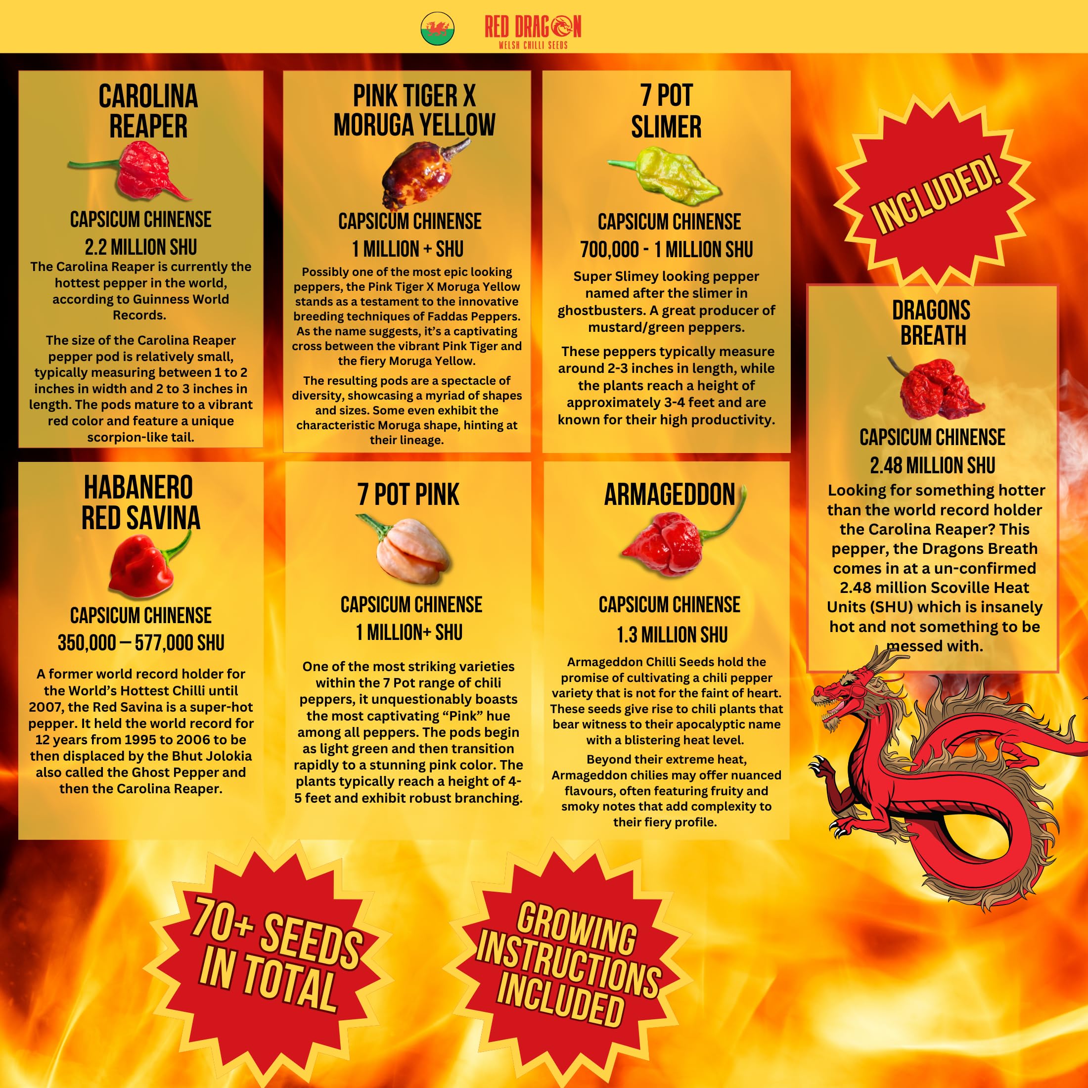Chilli Seeds - Super Hot Chilli Seed Variety Pack - 7 Super Hot Pepper Variety Seeds Including The Carolina Reaper and Dragons Breath - 70 Super Hot Seeds (Superhot Variety Pack)