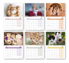 A4 Cute Kittens Calendar 2024. One Month to View. UK, Scotland, RoI & N Ireland Bank Holidays. Wall Calendar by Absolutely Yours.