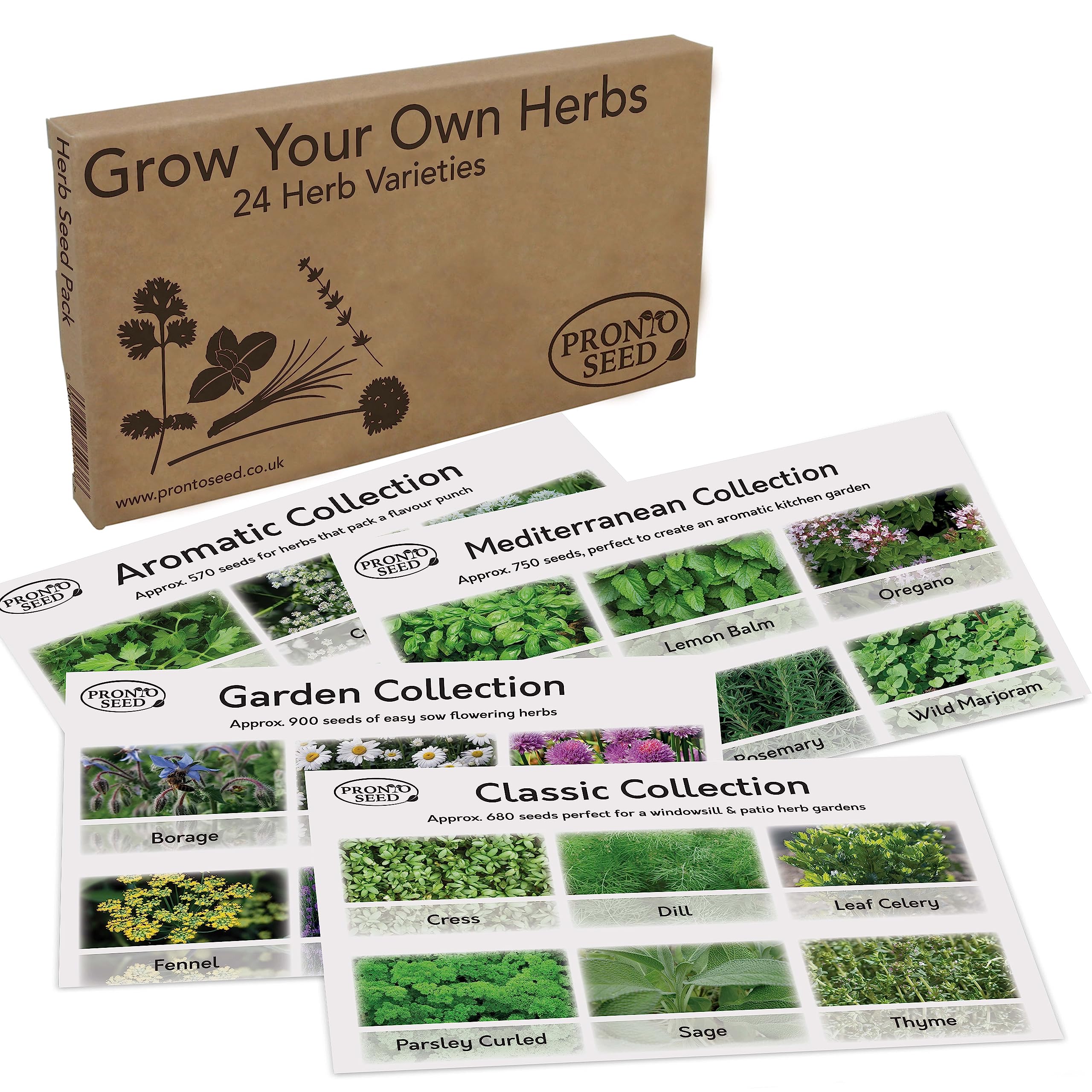 Pronto Seed Herb Bumper Pack - for Planting Now - Grow Your Own Kit - Containing 24 Different Varieties of Herbs - Aromatic, Mediterranean, Garden & Classic Herbs - Gardening Gift for Women and Men