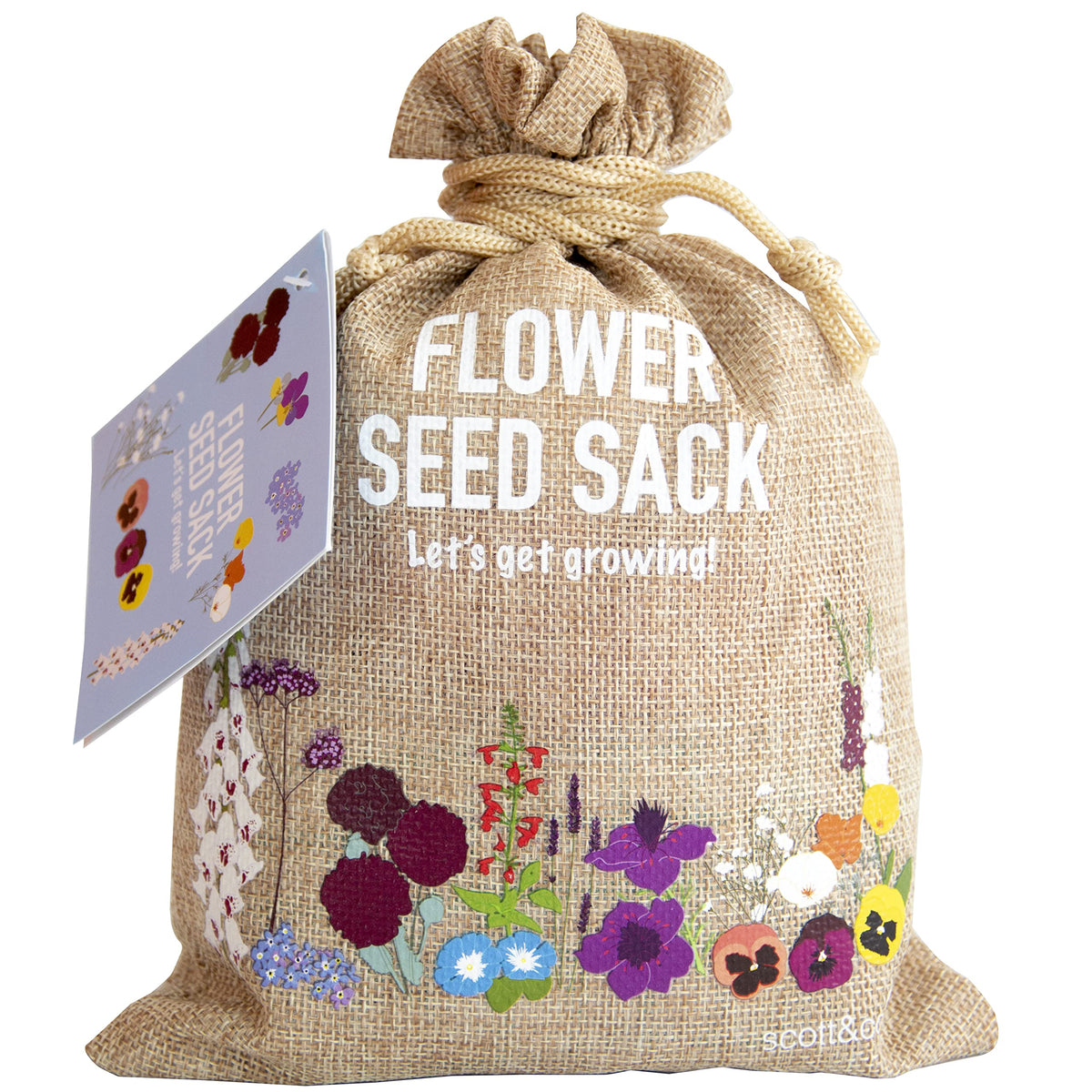 Scott&Co. Flower Seed Variety Pack - 30 Different Varieties of Flower Seeds to Grow Your Own. Butterfly and Bee Attracting, Grow Indoor and Outdoor. Gardening Gifts for Women and Men