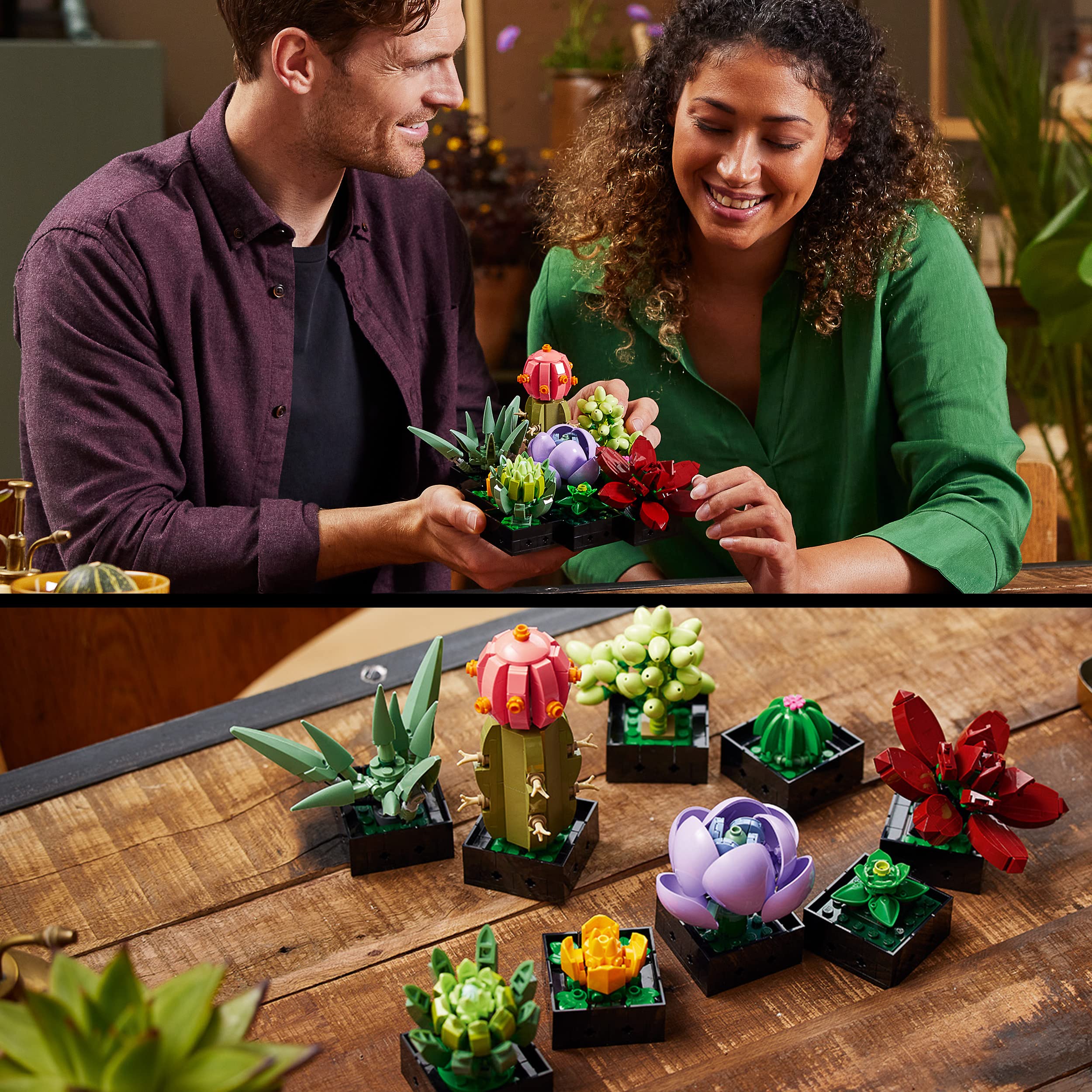 LEGO 10309 Icons Succulents Artificial Plants Set for Adults, Home Décor, Creative Hobby, Gift Idea for Her & Him, Botanical Collection (Build 9 Small Plants), Flower Bouquet Kit