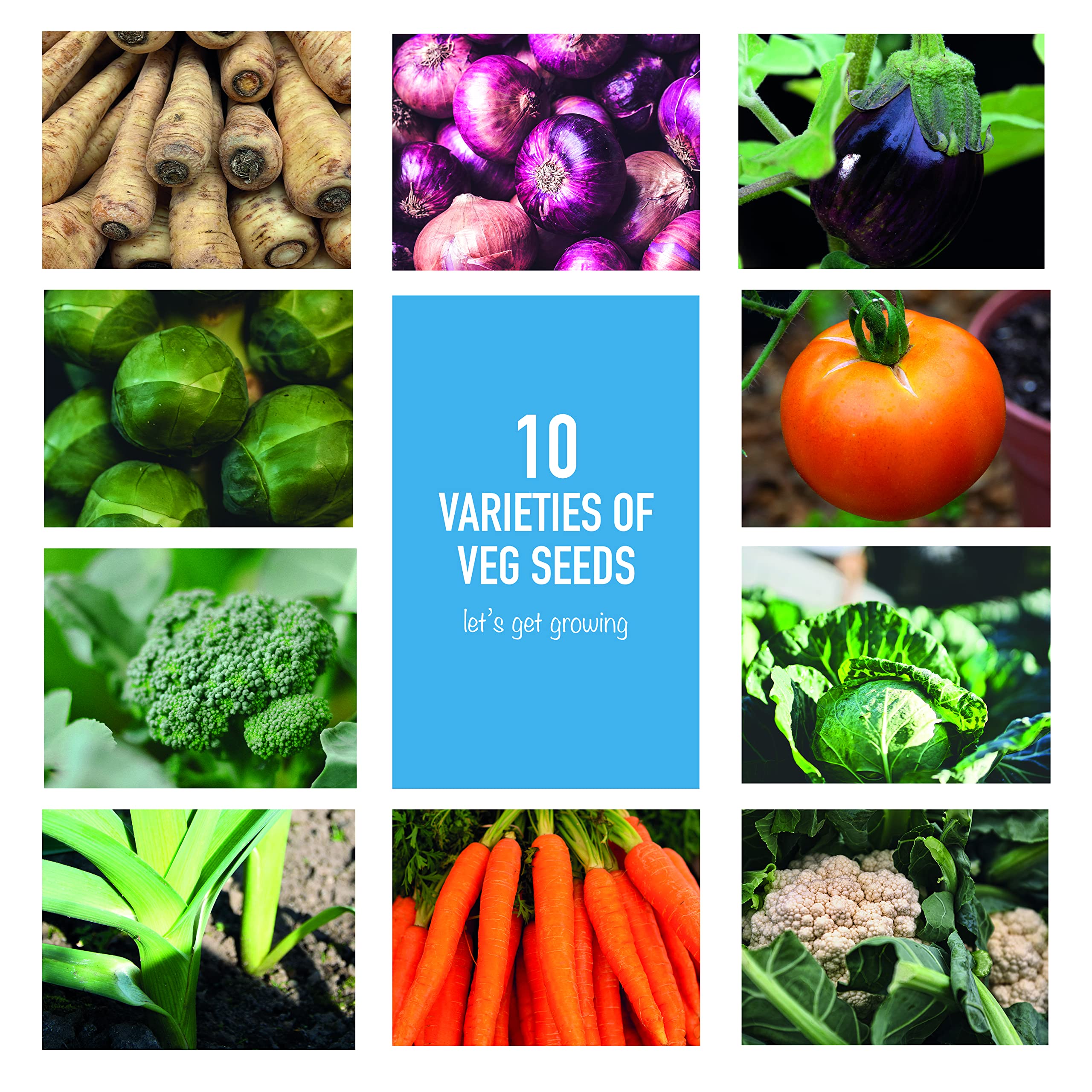 Scott&Co. Vegetable Seeds Variety Pack, UK Veg Planting, Carrot, Broccoli, Onion, Tomato, Aubergine, Cabbage, Parsnip, Sprout, Leek, Cauliflower, Gardening Gifts for Women and Men