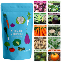 Scott&Co. Vegetable Seeds Variety Pack, UK Veg Planting, Carrot, Broccoli, Onion, Tomato, Aubergine, Cabbage, Parsnip, Sprout, Leek, Cauliflower, Gardening Gifts for Women and Men