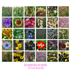 Scott&Co. Flower Seed Variety Pack - 30 Different Varieties of Flower Seeds to Grow Your Own. Butterfly and Bee Attracting, Grow Indoor and Outdoor. Gardening Gifts for Women and Men