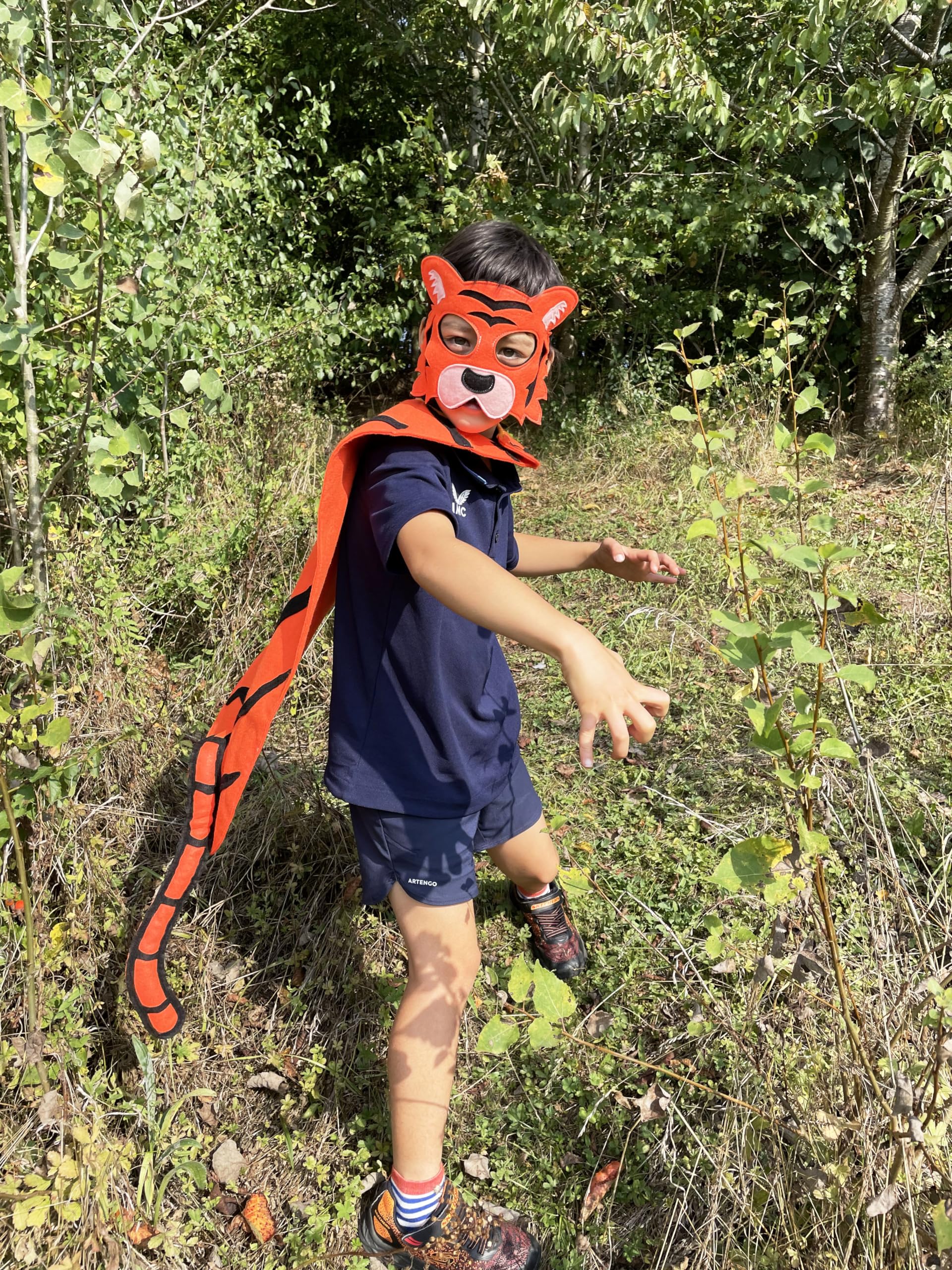 ZAC HOME World Book Day Animal Jungle Animal Costume Tiger Costume Mask and Cape for Age 3-12